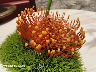 vivo unveils the X200 series in Beijing and we have our first impressions of the vivo X200 Pro