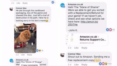 La historia del perro que se comió un FIFA 18 para PS4