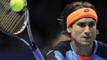 David Ferrer.
