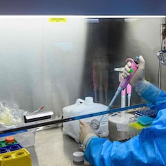 Un anticuerpo aislado en 2003, posible 'talón de Aquiles' del coronavirus