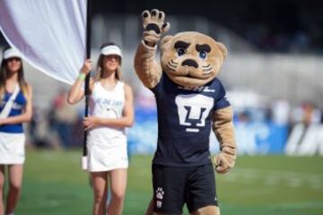 La victoria de Pumas ante Cruz Azul en imágenes