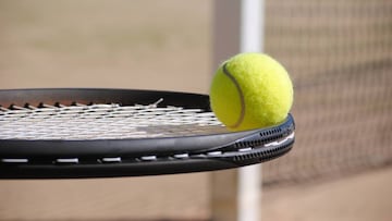 ?Cuánto dinero me cuesta anualmente jugar al tenis?