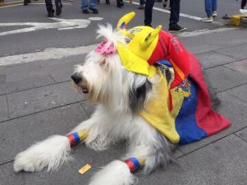 La Selección nunca está sola, hinchas llegan al Atahualpa