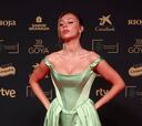 La espectacular alfombra roja de los Premios Goya 2025