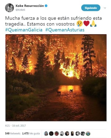 La solidaridad del mundo del deporte con los incendios de Galicia, Asturias y Portugal