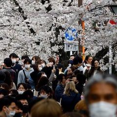 Qué se podrá hacer y qué no con el cambio de fase en la pandemia en España