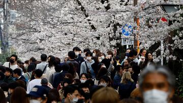 People wearing protective masks, amid the coronavirus disease (COVID-19) outbreak, walk underneath blooming cherry blossoms along the Meguro river in Tokyo, Japan, March 27, 2022. REUTERS/Kim Kyung-Hoon