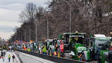 Una columna de tractores durante la décimosexta jornada de protestas de los tractores en las carreteras españolas, a 21 de febrero de 2024, en Madrid (España). Agricultores y ganaderos de toda España han sacado sus tractores a las carreteras por décimosexta día consecutivo, para pedir mejoras en el sector, entre ellas exigir ayudas para afrontar las sequías que sufre el campo. Además, protestan contra las políticas europeas y su falta de rentabilidad. Cientos de tractores comenzaron ayer su marcha lenta hacia Madrid donde está prevista hoy una gran protesta que dé voz al malestar del campo. Los agricultores avanzan en cinco columnas diferentes que confluyen en la capital, intentando colapsar el tráfico. Esta movilización se produce cinco días después de la reunión que tuvo el ministro de Agricultura con las asociaciones agrarias en Madrid y acabó sin acuerdo a pesar de las medidas ofrecidas por parte de Planas.
21 FEBRERO 2024Ç;TRACTORES;AGRICULTURA;PROTESTAS;CAMPO;
Carlos Luján / Europa Press
21/02/2024