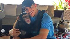 Alexis envía emotivo mensaje y recibe bromas de Bravo y Díaz