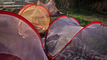 Millions of fans have said goodbye to one of the most beloved YouTube channels ever: Outdoor Boys.