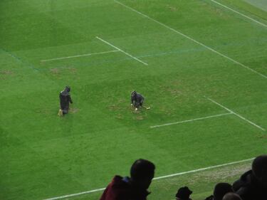 El césped de Zorrilla, en la UVI