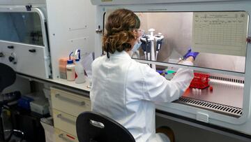 La vacuna que Moderna se encuentra creando contra el coronavirus sigue mostrando avances, pero aún no se logra llegar al objetivo requerido por Fauci.
