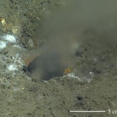 Hallan una misteriosa fuga en el fondo del Océano Pacífico