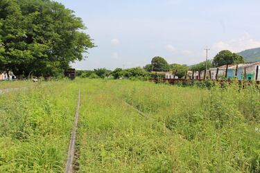 El fútbol alivia a los inmigrantes que pasaron por La Bestia