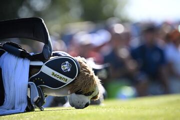 Un peluche de perro se asoma por una bolsa de golf.