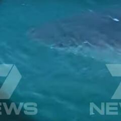 Dan por muerto al surfista desaparecido tras el ataque de un tiburón