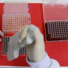 ¿Qué es el virus B aparecido en Hong Kong, cómo se contagia y cómo afecta a las personas?