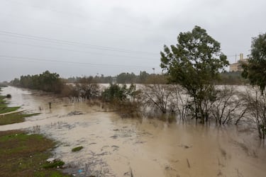 El río Guadalquivir desbordado por la zona de la Cartuja en Sevilla.