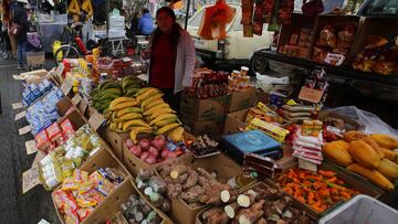 Aporte Canasta Básica: ¿de cuánto serán los montos y qué carga familiar me corresponde?