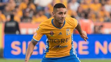 Campeón Apertura 2016 con Tigres.