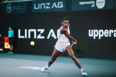 ¿Quién es Alycia Parks La doble de Serena Williams?