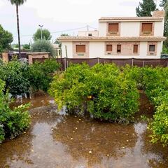 Aviso del ‘Daily Mail’ a los turistas británicos sobre lo que pasa en Murcia