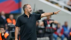 Apelación desestima el recurso por Flick