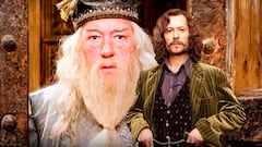 Gary Oldman wants to come back to ‘Harry Potter’... as the upcoming show’s Dumbledore