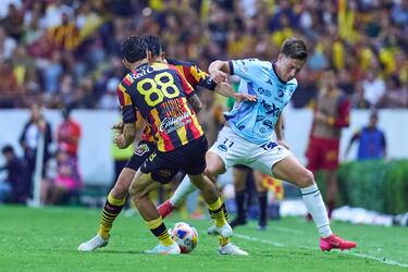 Leones Negros ‘cena’ Jaiba y es Campeón de la Liga de Expansión