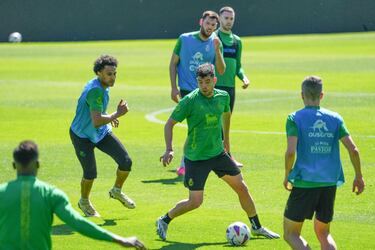 Alineación posible del Racing contra el Elche en El Sardinero