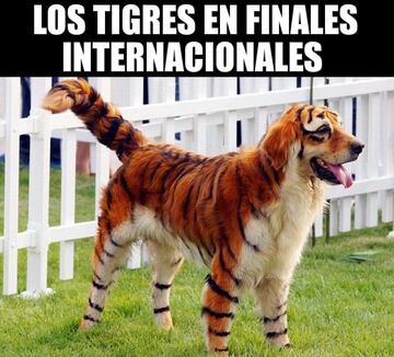 Los memes celebran al Monterrey y acaban con Tigres