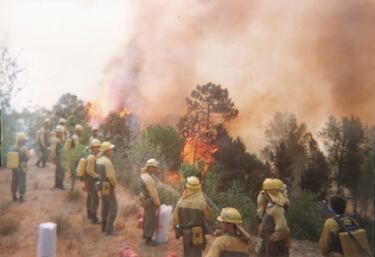 El incendio de San Martín de Boniches, ocurrido en la provincia de Cuenca en 1994, fue el incendio forestal más grande y devastador registrado en la historia de Castilla-La Mancha. El incendio se declaró el 17 de julio de 1994, causado por un rayo caído durante una tormenta seca. El fuego calcinó un total de 17.858,70 hectáreas de superficie forestal, de las cuales el 90% era monte arbolado.