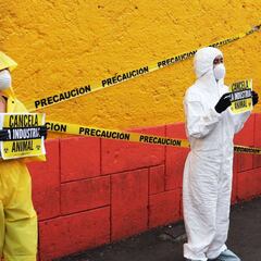 Coronavirus en México, en vivo: resumen de noticias del 24 de abril