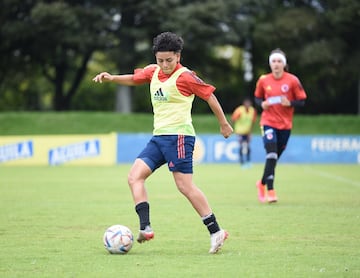 El equipo de Carlos Paniagua entrena en Bogotá pensando en el Mundial Femenino Sub 20, que se disputará en Costa Rica a partir del 10 de agosto. Este martes saldrá la convocatoria para la Copa.