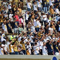 El Apertura 2019 junta más gente en las tribunas