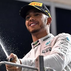 Horner admits contacts with Hamilton in the past