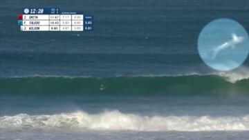 Inquietante sorpresa en el Mundial de Surf... ¡Se cuela un tiburón!