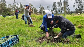 El municipio de Guasca en Cundinamarca tiene el aire más limpio del país.