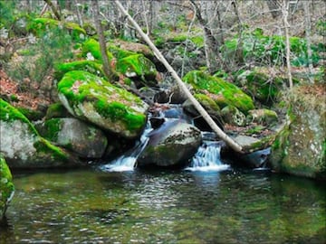 La Alberca y La Tejera es un robledal del río Madarquillos dentro del área recreativa en Horcajo de la Sierra a 84 km de Madrid, es el escenario de esta zona de baño que forma el propio arroyo cuando su curso frena en una presa natural. Al estar junto al Río Madarquillos podemos disfrutar del agua fresca de la Sierra para darnos un baño o disfrutar con la familia de este maravilloso entorno. Un punto de escape para los que no eligen la bici de montaña o el senderismo. No obstante hay que revisar la normativa vigente de la propia Comunidad de Madrid porque en algunos casos está prohibido el baño en ríos, lagos y pozas u otro tipo de zonas fluviales.