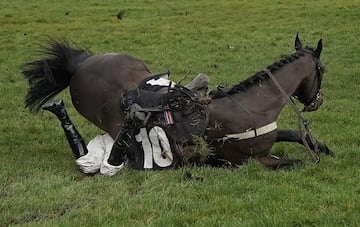 El jinete Adam Wedge se encuentra debajo de su caballo Navajo War Dance después de caer en el EBM Handicap Hurdle en Newbury Racecourse el 16 de enero de 2019.