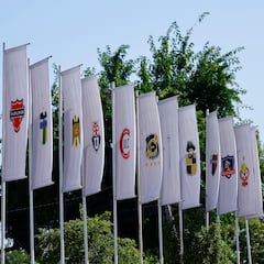 El fútbol chileno tiene a su primer equipo descendido: resolución final