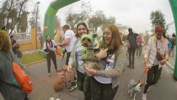 Inédita corrida ColorPet con mascotas convocó a 500 vecinos en La Florida