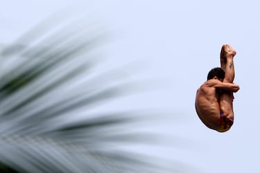 Gimeno se gana una opción de medalla de altos vuelos