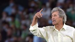 Pellegrini, en un partido. 