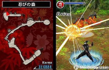 Ninja Gaiden Dragon Sword, Impresiones