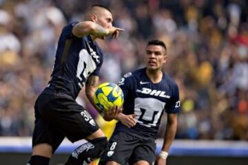 Del 18 al 1, así el interés de la afición por cada equipo de Liga MX