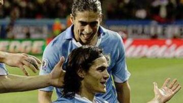 <strong>CAVANI.</strong>