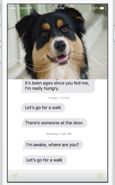 WhatsYapp, el collar para descifrar los ladridos de tu perro