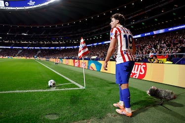 La Champions llega a su ecuador: ¿cómo van los equipos de LaLiga? 