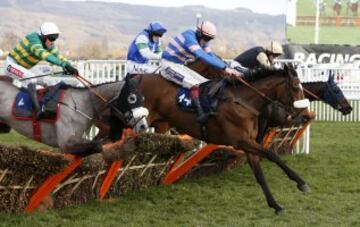 La espectacular caída de un jinete en el Festival de Cheltenham